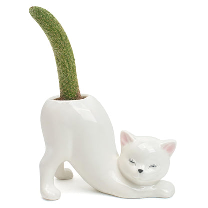 Cute Cat Planter Pot Indoor Flower Vase, Kitty Sloth Plant Holder Butt Shaped, Unique Tailless Succulent Ceramic Animal Display, Ceramic Bonsai Gift, Lovely Office Desk Living Room Home Outdoor Decor