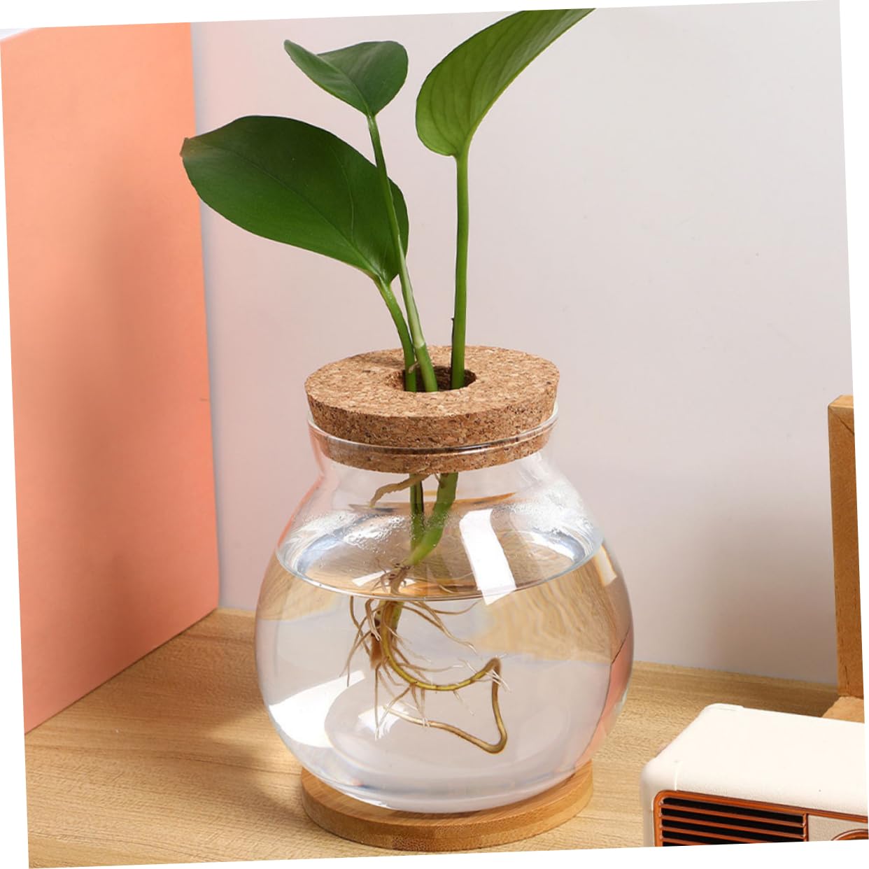 Kisangel Hydroponic Glass Vase Wooden Base for Indoor Plant Propagation Desktop Terrarium for Flower Arrangements and Root Growth Display