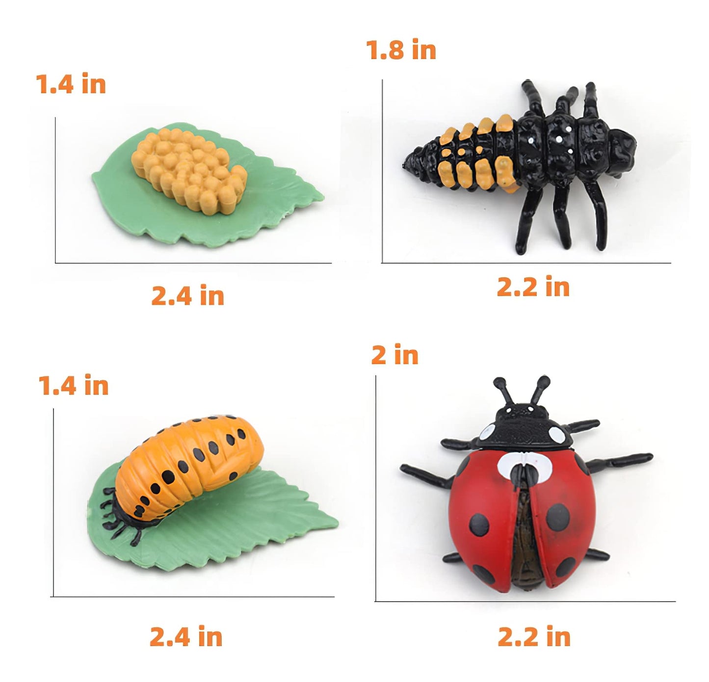MIKNEKE Montessori Life Cycle Learning & Education Toys, Plastic Insect Ladybug Monarch Butterfly Tadpole to Frog Kit Life Cycle Toys for Kids, Preschool Learning Activities for Toddlers