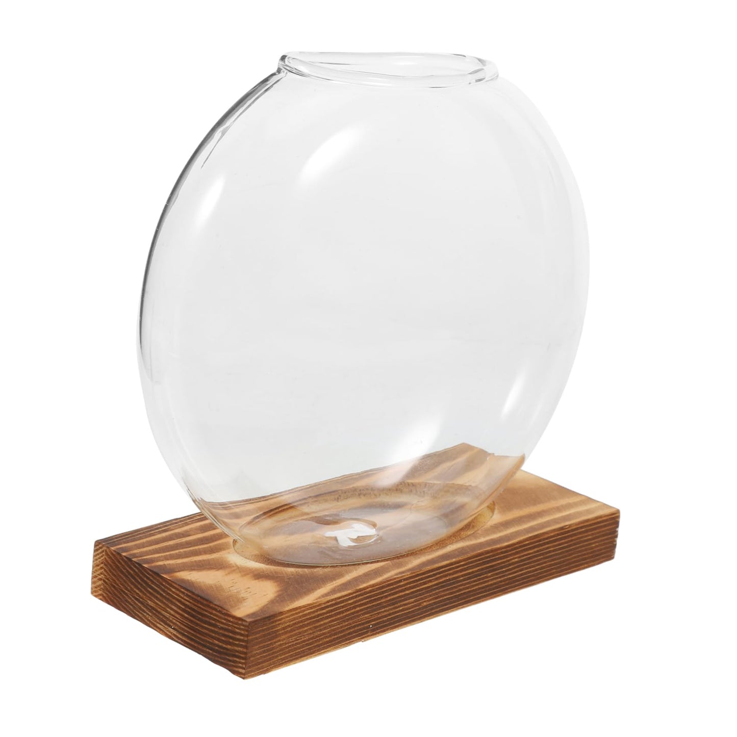 Levemolo Glass Terrarium Jar Plant Decorations Hydroponic Vase Wooden Base for Warming