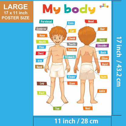 SK SUPKER 18 Toddlers Educational Learning Posters Classroom Wall Decorations Preschool Teaching for Baby Kids Teaching Numbers, ABC Alphabet Chart, Shapes, Days of The Week