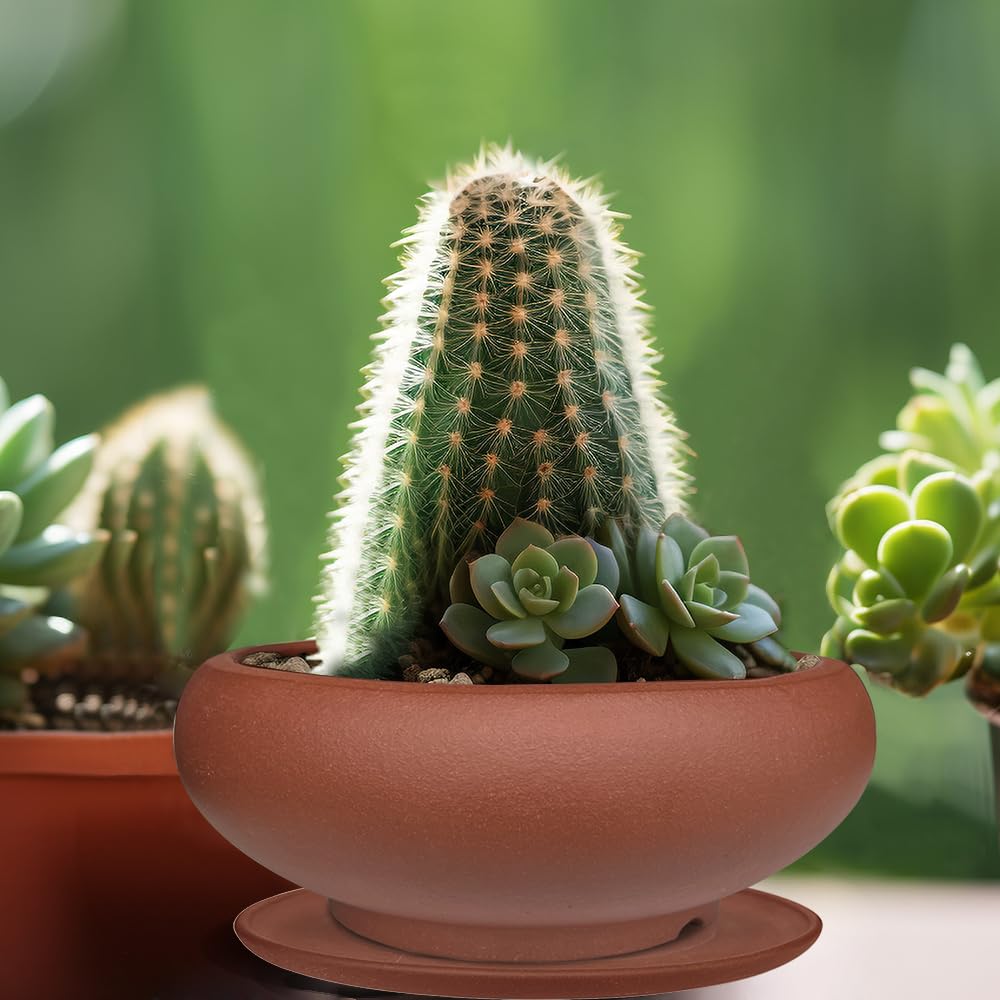 MUZHI 5.3” Round Ceramic Bonsai Starter Pots with Trays Set of 2 Brown and Red, Small Vintage Unglazed Succulent Pots with Saucers Minimalist Classic Mame Bonsai Planter with Drainage