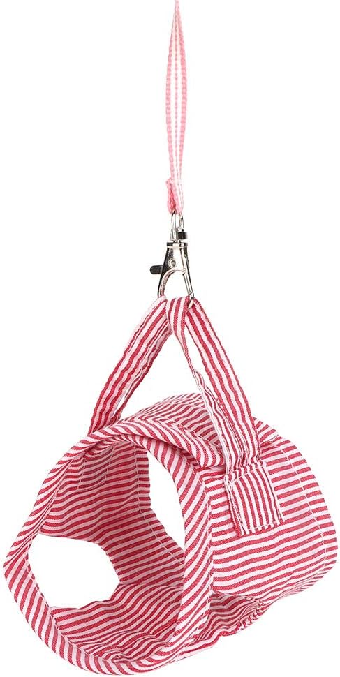 Squirrel Vest Harness, Soft Cotton Clothes for Guinea Pig and Small Pets, Adjustable Outdoor Vest and Leash Set for Small Animal Walking (L)