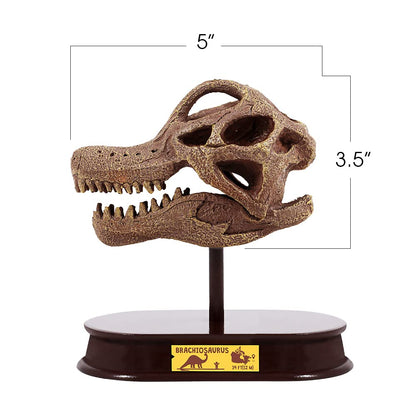 ArtCreativity Dinosaur Excavation Kit for Kids, Brachiosaurus Skull Excavating Set with Fossil Digging Tools and Stand, Fun Science Activity Toy, Educational Dinosaur Gift for Boys and Girls