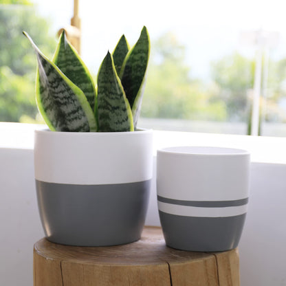 LA JOLIE MUSE Ceramic Flower Pots for Indoor, Plant Pot Plants Planter Set of 2, 6.1 + 5.1 Inch Home Decor Gift, White & Gray