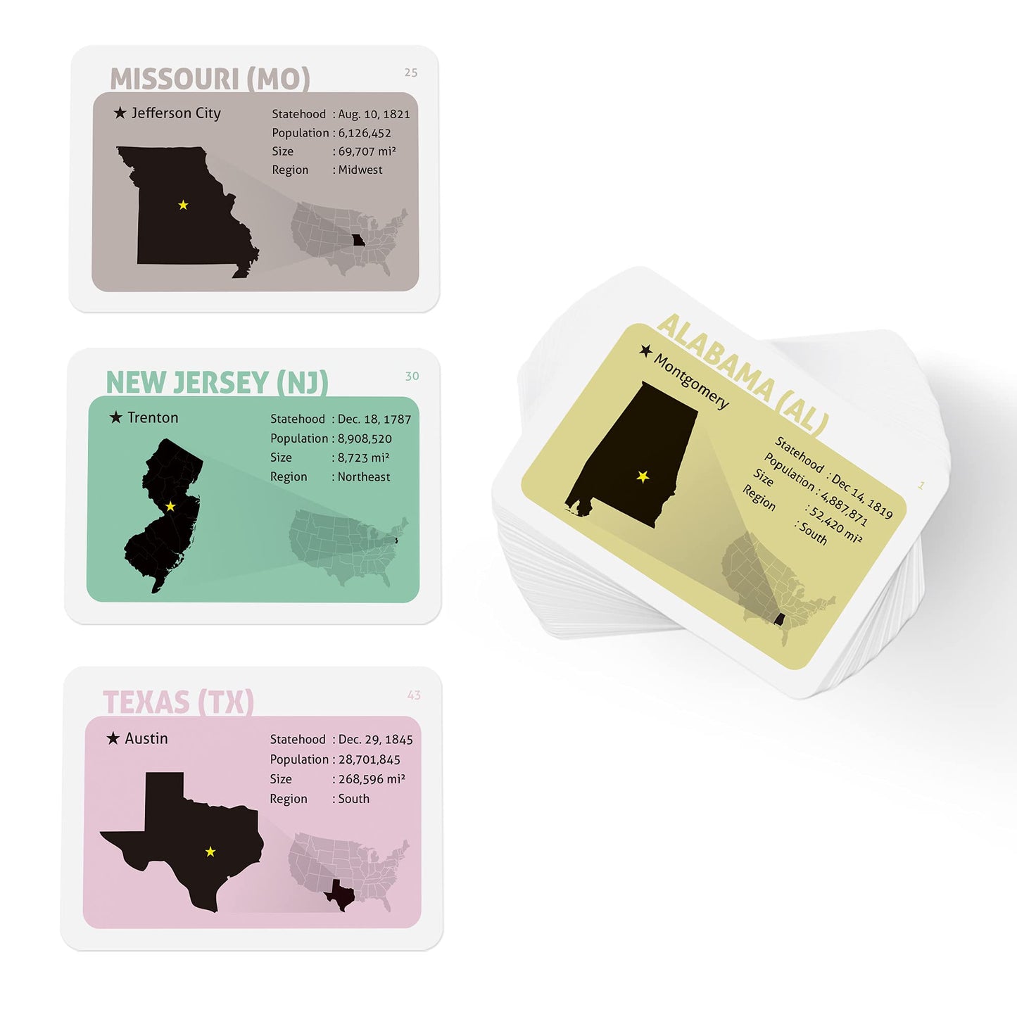 CARDDIA | U.S. State Flags Flashcards | 50 States with Names, Abbreviations, Capitals & Facts | Educational & Durable | Geography Learning Tools for Kids & Adults