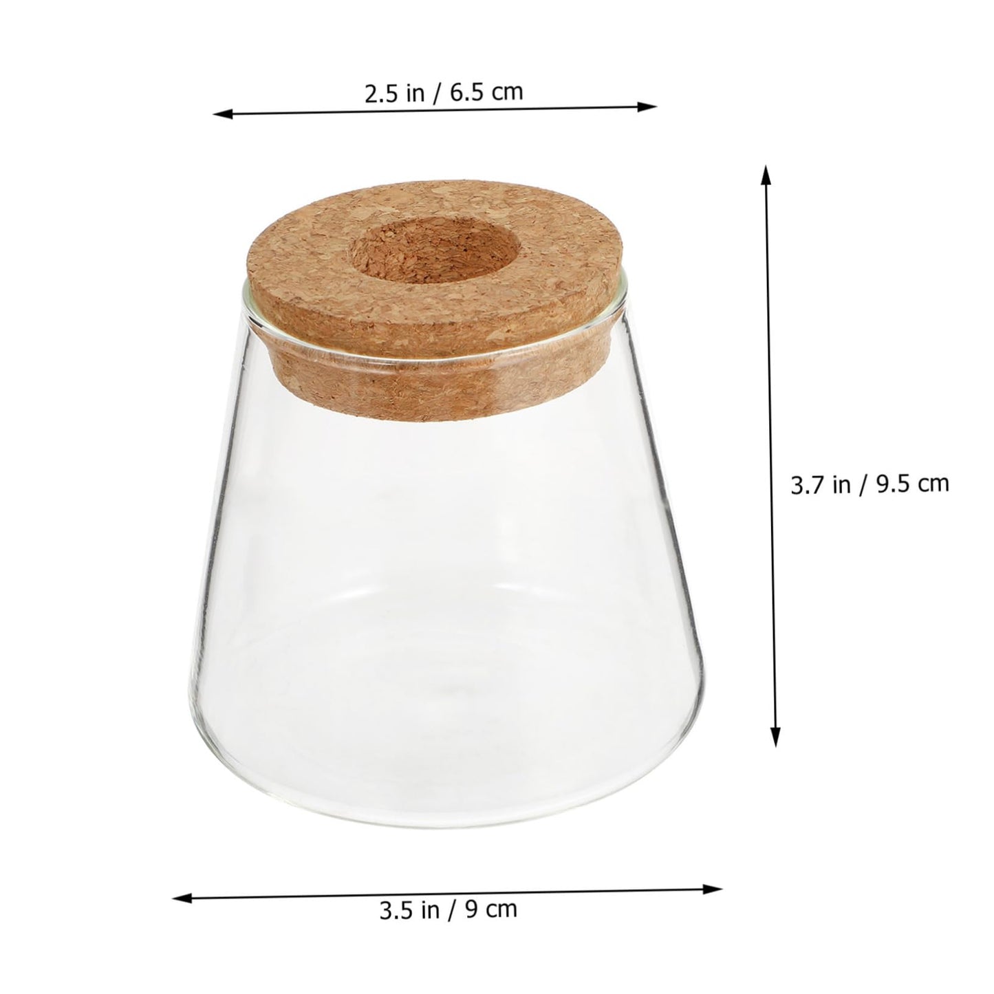 Ciieeo 2Pcs Glass Desktop Planter Vase for Hydroponics Chic Terrarium for Indoor Plants Home Office Decoration for Floral Arrangements and Plant Propagation