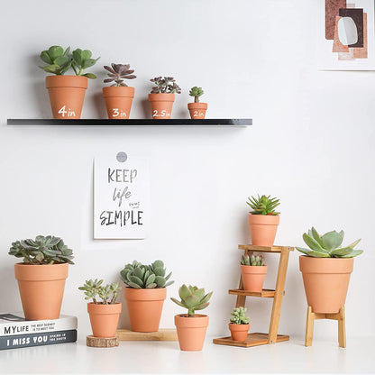HERDUK Terracotta Starter Pots with Saucers – 4 Inch Clay Planting System for Healthy Roots, Reliable Drainage & Indoor Growing, Ideal for Succulents, Seedlings & Small Spaces