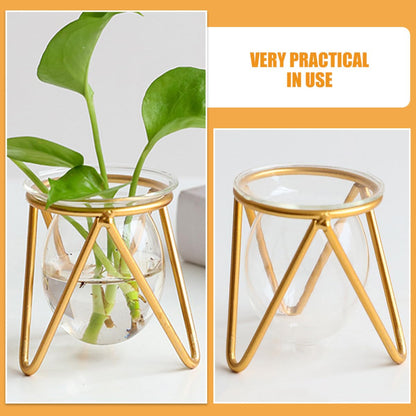 Unomor Glass Hydroponic Plant Vase with Gold Metal Stand Small Tabletop Flowerpot for Indoor Air Plants and Terrarium Décor for Home and Wedding