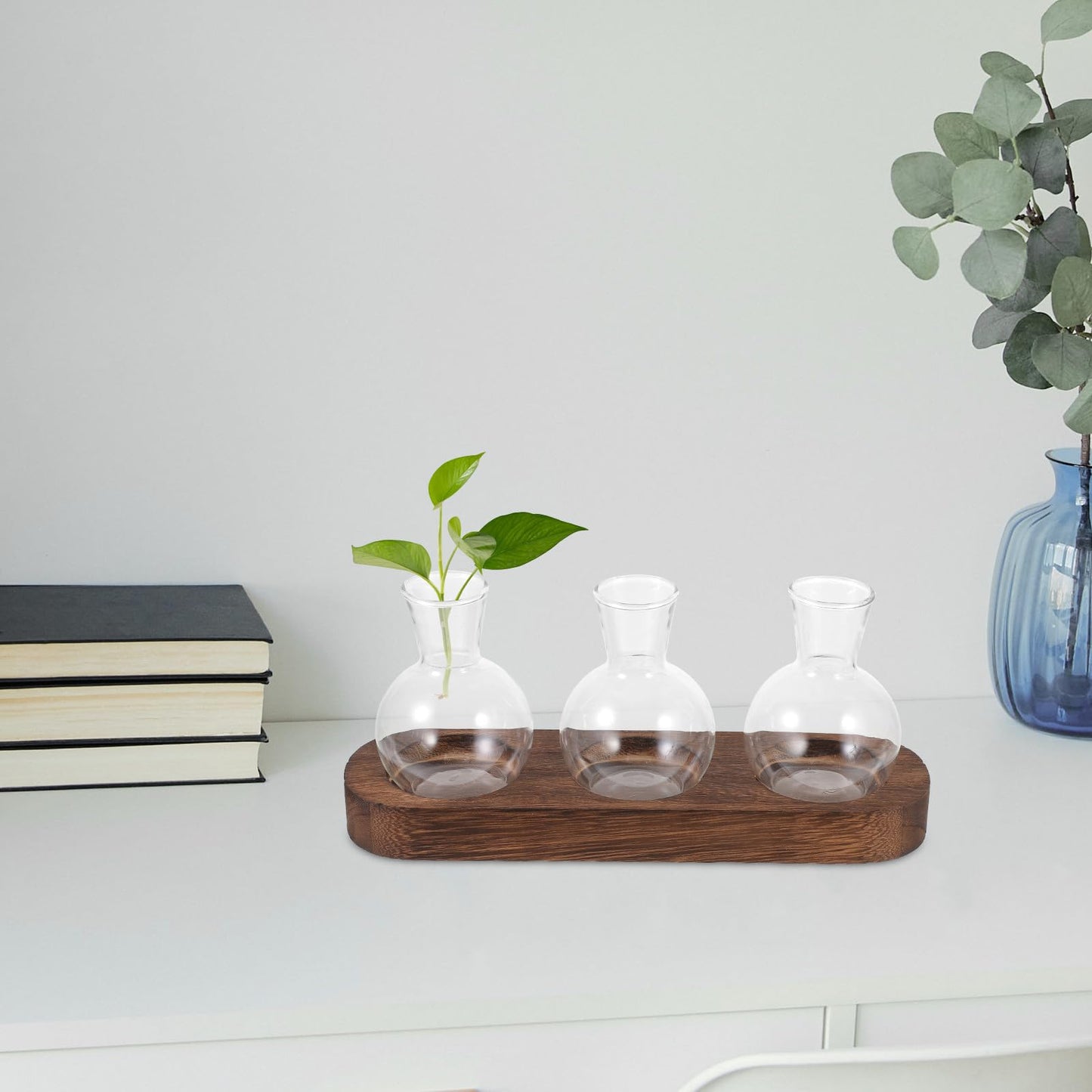 TINEASUR Glass Vase Set with Wooden Base, Hydroponic Green Plant Terrarium, Decorative Flower Vases for Office and Living Room Desktop, 3pcs Household Hyacinth Centerpiece