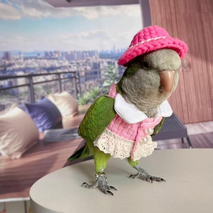 Hahn's Macaw Bird Diaper Flight Suit - Pink Top Cosplay Photo Prop for Parrots, Lovebirds, Parakeets, Cockatiels & Small Animals