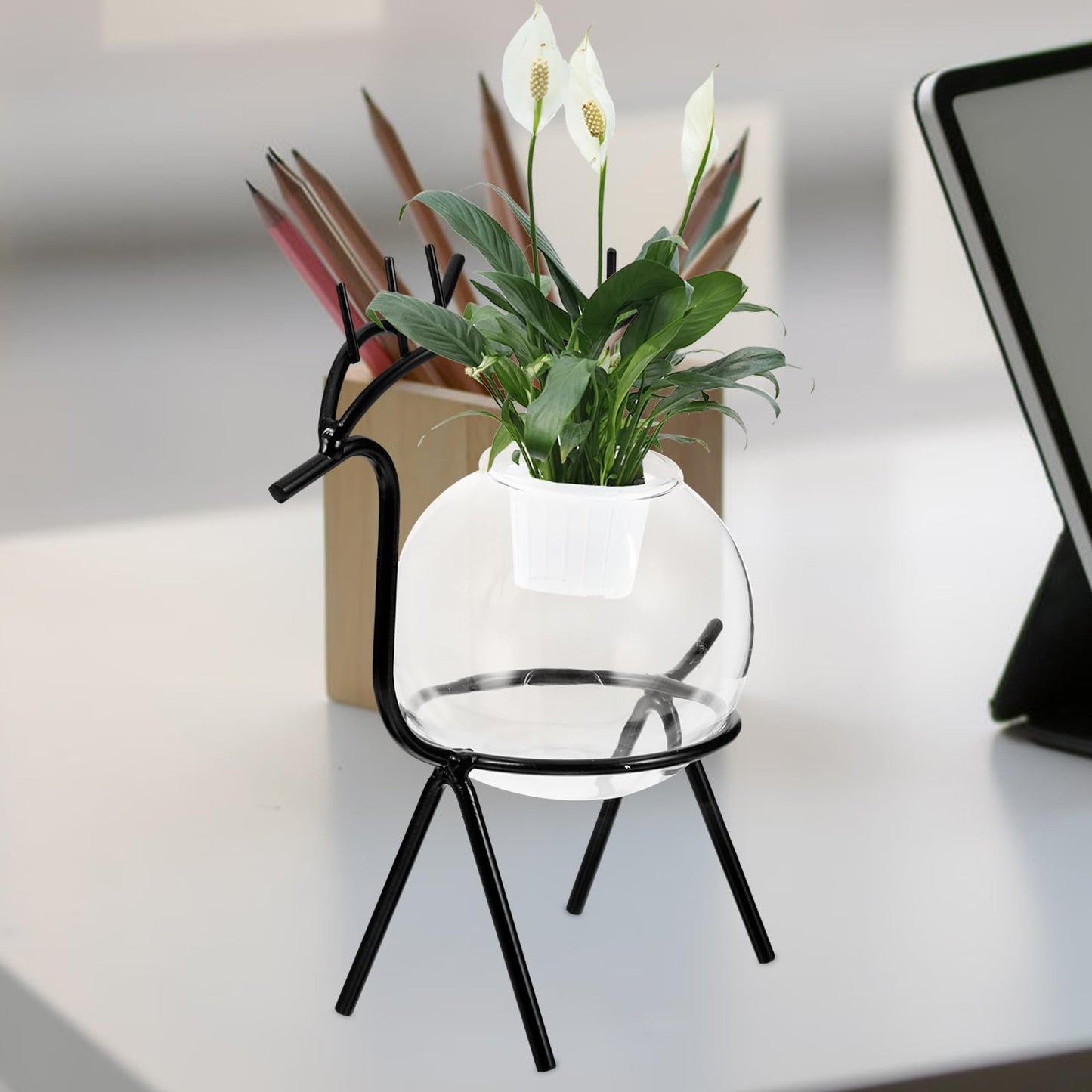 Operitacx Glass Hydroponic Vase with Metal Stand, Small Glass Plants Container for Desktop Terrarium Planter, Black Animal Decorative Flower Vase for Home and Office Décor