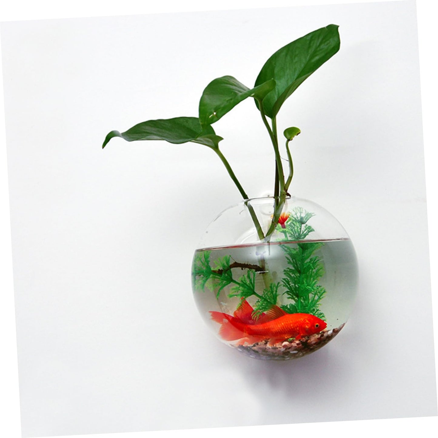 Abaodam Glass Wall Hanging Vase Artificial Plants Succulents Terrarium Home Decor Indoor Plant Holder
