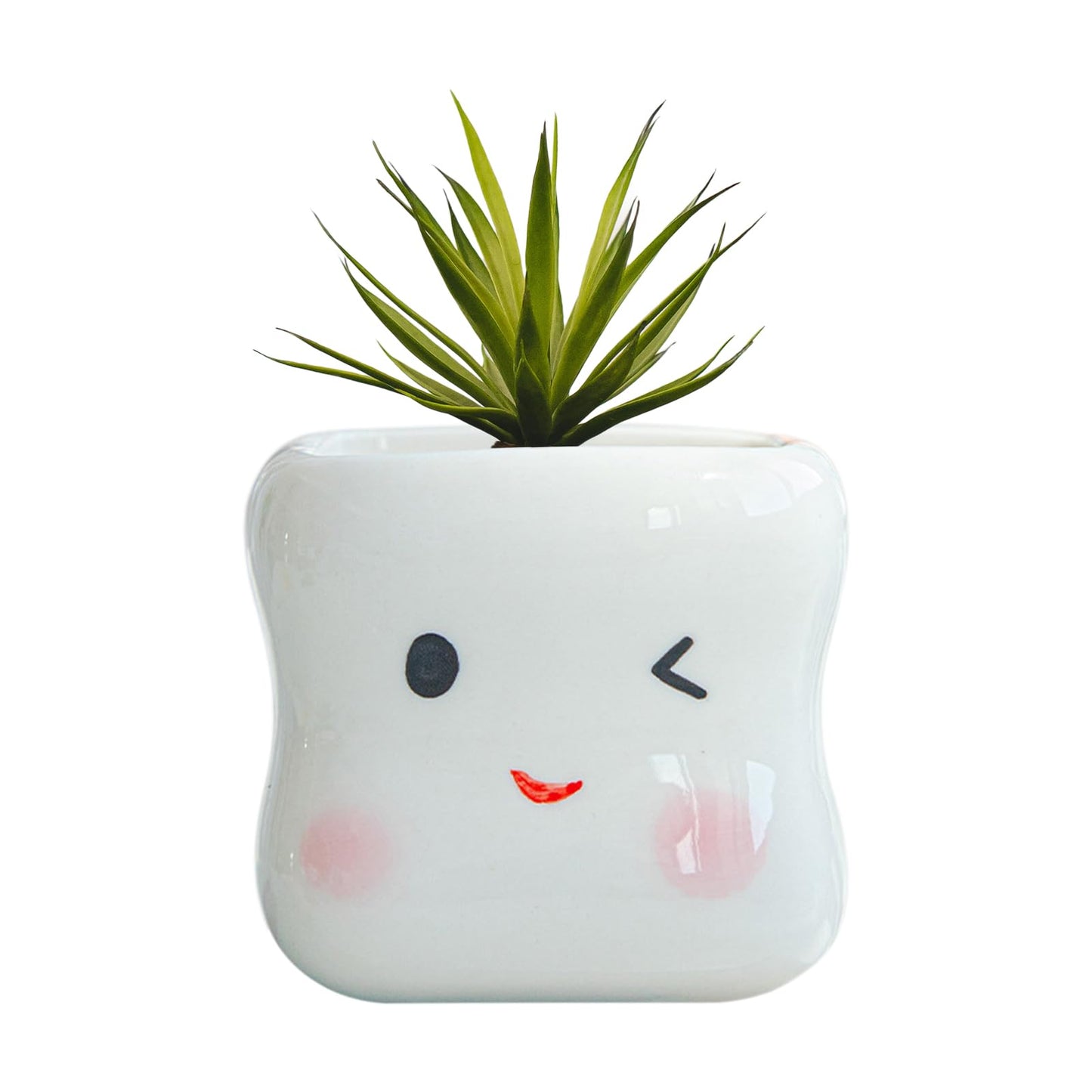 RUIXIAOXI Cute Smiling Cartoon Face Succulent Planter, Small White Ceramic Flower Pot Tooth-Shaped Plant Pot for Small Plants, Home & Office Desk Decoration - No Plants Included (Style B)