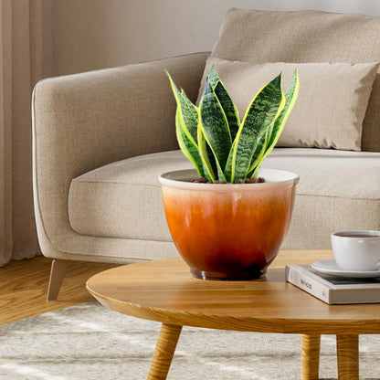 Vanslogreen 8 Inch Plant Pots with Drainage Hole, 4 Pack Plastic Flower Pots, Modern Sleek Decorative Planter for Indoor Outdoor Plants Succulent Snake (Orange)