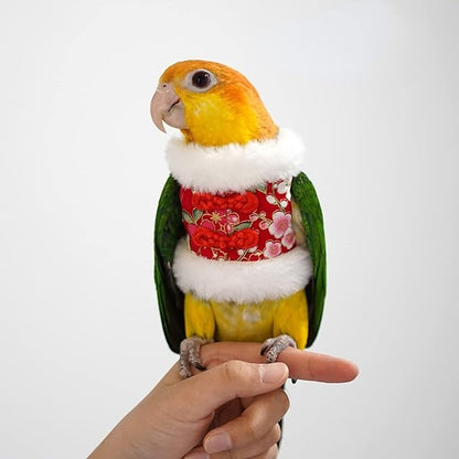 Bird Costume Bird Flight Suit Bird Clothes Cosplay Photo Prop for Parrots Parakeet Cockatiel Sun Conure, Bird Hoodie Small Animals Apparel (Red, Medium)