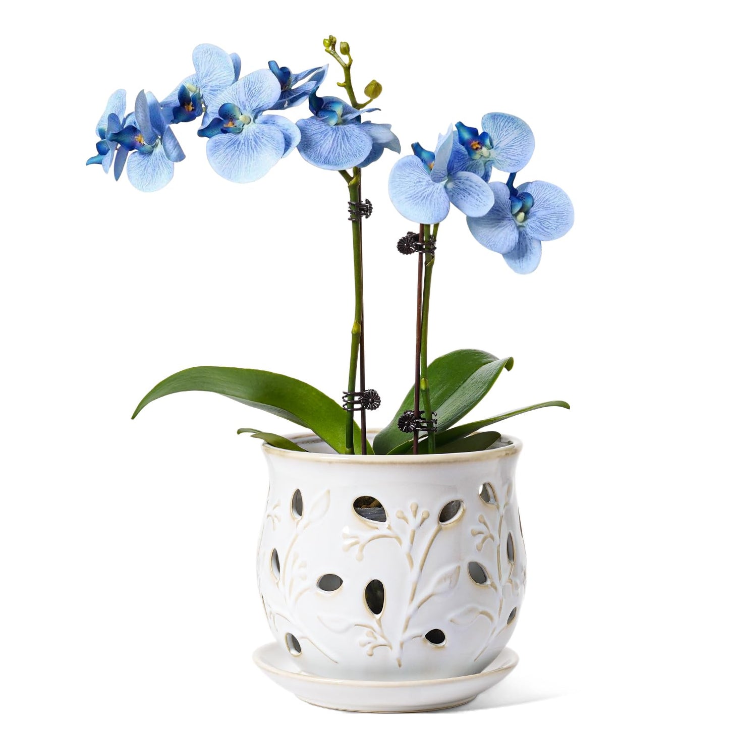 LE TAUCI Ceramic Orchid Pot, 6.5 Inch Orchid Planter with Holes for Repotting, Indoor Flower Plant Pot with Drainage and Saucer, Arctic White