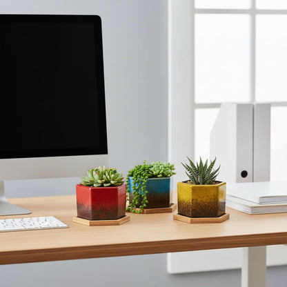 TOPZEA Set of 5 Succulent Planter Pots, 4.2 Inch Hexagon Glazed Ceramic Small Cactus Pot, Geometric Mini Flower Plant Container with Drainage Hole & Bamboo Tray for Home, Office, Windowsill, Desk