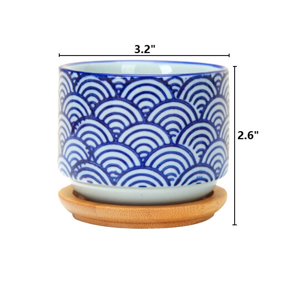 GeLive 3 Inch Ceramic Succulent Planter, Cactus Plant Pot, Flower Container with Bamboo Drip Tray, Indoor Outdoor, Set of 2 (Wave and Blue Flower)
