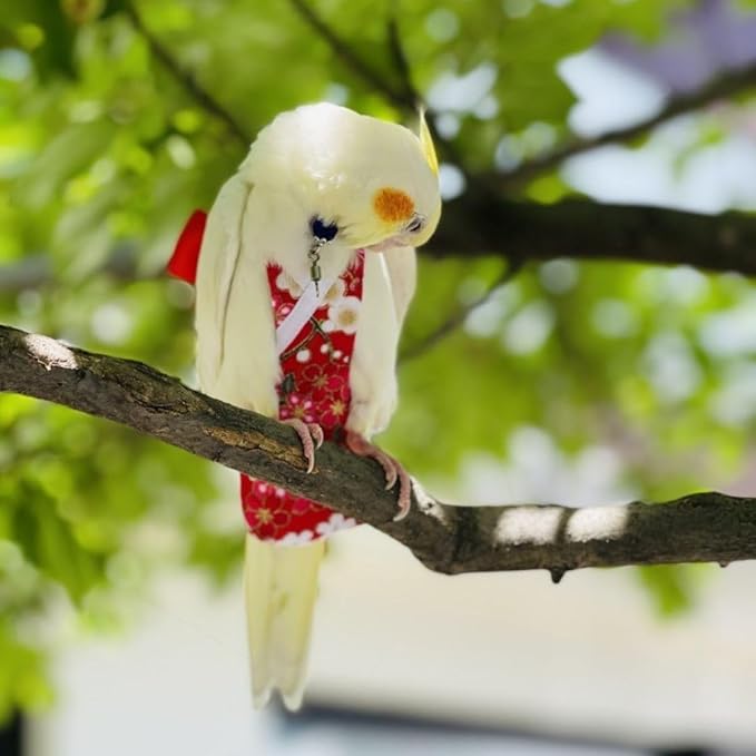 Bird Diaper Cockatiel Clothes Flight Suite, Reusable Parrot Nappy with Waterproof Inner Layer, Cute Pigeon Pants Urine Wet Suit Costume for Conure Macaw (Blue B,S)
