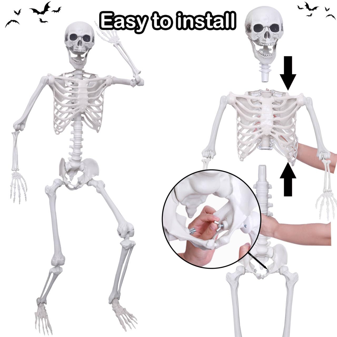Hibsotco 2Pack 5.4Ft Life Size Skeletons Posable Skeletons Full Size Plastic Human Skeleton with Movable Joint for Halloween Outdoor Indoor Decorations