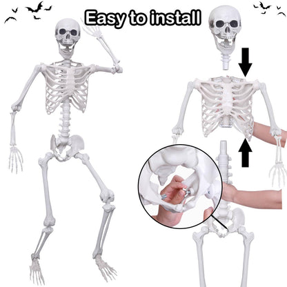 Hibsotco 2Pack 5.4Ft Life Size Skeletons Posable Skeletons Full Size Plastic Human Skeleton with Movable Joint for Halloween Outdoor Indoor Decorations