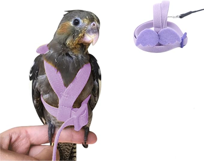 Bird Harness Parrot Leash -Adjustable Outdoor Flying Kit for Parrot Budgie Lovebird Cockatiel Macaw Parakeet (Purple,M)