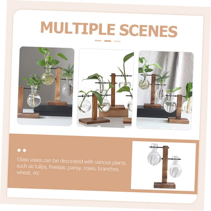 Generic 2pcs Bottle Plant Terrarium Vases Plant Light Bulb Decoration Hydroponic Vase Indoor Bulb Desktop Decor Hydroponic Glass Wooden