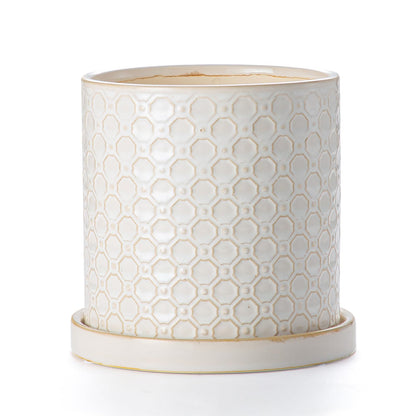 Chubacoo 6 Inch Plant Pot: Ceramic Planter with Drainage Hole & Saucer Indoor Outdoor Plants - Cylinder Round Flower Pot for Home Office - Modern Decorative - Small White