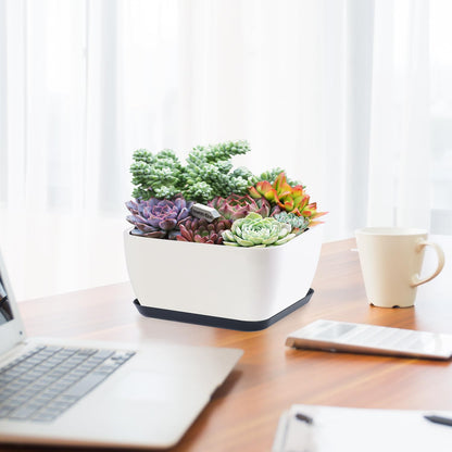 Succulent Pots 6 Inch Shallow Herb Planters with Drainage Hole - 8 Packs Cactus Planter for Home Office Garden Plants Pot Present - Plants Not Included (Off White)
