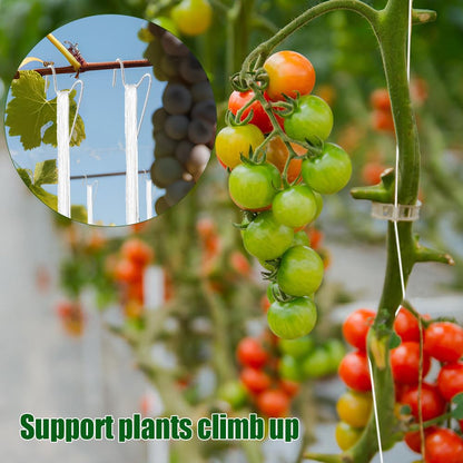 Paradi star 130Pcs Tomato Hooks with String,Plant Support Clips,Tomato Support Hook for Climbing Plants,Tomato Holder Hooks with 32.8ft Twine to Prevent Vegetable Fruit from Pinching or Falling Off
