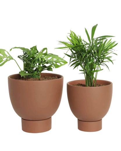 vensovo Dark Terracotta Self Watering Plant Pot - 2 PCS 6 Inch & 8 Inch Terra Cotta Plant Pot with Drainage Hole and Saucer, Small & Large Clay Flower Pot with Tray, Planter for Indoor Outdoor