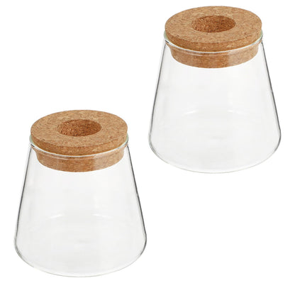 Uonlytech 2pcs Glass Hydroponic Plant Vase Set, 6.5cm Mouth Diameter Glass Planter Pots for Indoor Garden, Office Desk Terrarium, Hydroponics Growing Jar for Home Décor