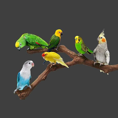 5 PCS Natural Grape Stick Perch Swing Chewing Toys for Parrot Cages, Cockatiels, Parakeets, Finches - Bird Standing Stick
