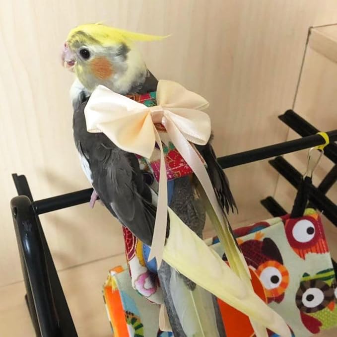 Bird Flight Suits Diapers, Parrot Flight Suits Diapers for Quaker Parakeets Cockatiels Flight Suits, Parrot Clothes (Red,M)