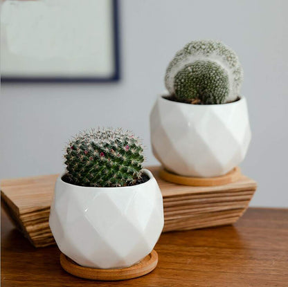 Jucoan 6 Pack Ceramic Succulent Planter Pot with Bamboo Tray, 4 Inch Small White Diamond Shaped Cactus Herb Flowers Planter with Drainage Hole for Indoor Home Office Decor