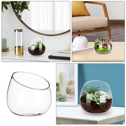 MAGICLULU Clear Glass Vase Cut Bubble Bowl Plant Terrarium Display Glass Tabletop Succulent Air Plant Planter Globe Home Office Decor 13.5cm