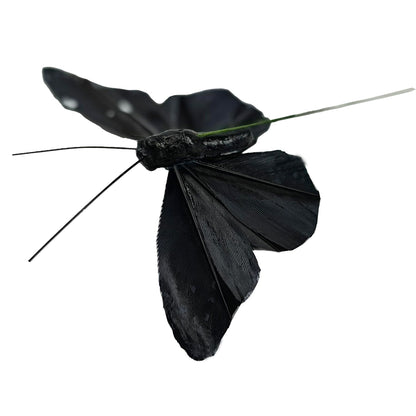 YCHTEWY- 12 pcs Black Butterflies Party Decorations Halloween Decoration Home Decoration…