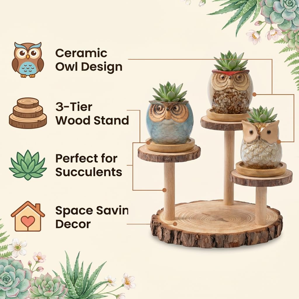 2.5"mini ceramic Cute Owl Animal Succulent Flower Pot Outdoor Bamboo Wooden Small Planter Stand Gift Set for Home,Office,Living Room,Bedroom Decoration,Windowsill,Indoor Desk,Kitchen Decor (3 Tier)