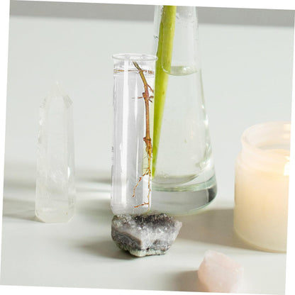 Healifty 4pcs Terrarium Supplies Glass Plant Vase Test Tube Vases for Flowers Plant Propagation Glass Tubes