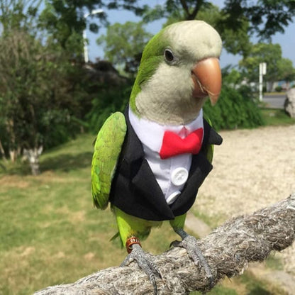 Bird Clothes Birds Flight Suit,Tuxedo Business Suit for Parrots African Greys Parakeet Cockatiel Sun Conure Christmas Party Birthday Cosplay Photo Prop Small Animals Apparel (2XL,Black Suit)