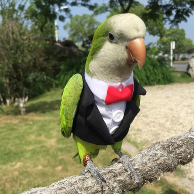 Bird Clothes Birds Flight Suit,Tuxedo Business Suit for Parrots African Greys Parakeet Cockatiel Sun Conure Christmas Party Birthday Cosplay Photo Prop Small Animals Apparel (3XL,Black Suit)