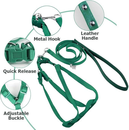 ASOCEA Adjustable Bird Harness and Leash for Yellow Naped Amazons Galah Cockatoos Small to Medium Breed Parrots Fits Birds Chest Between26-40cm /10.24-15.75inch - S
