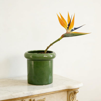 DJMKLCZTTKX Ceramic Flowerpot with Tray,Dark Green Home Decor Planters for Bedroom Balcony and Office,Ceramic Pots for Plants and Perennial Flowers for Housewarming