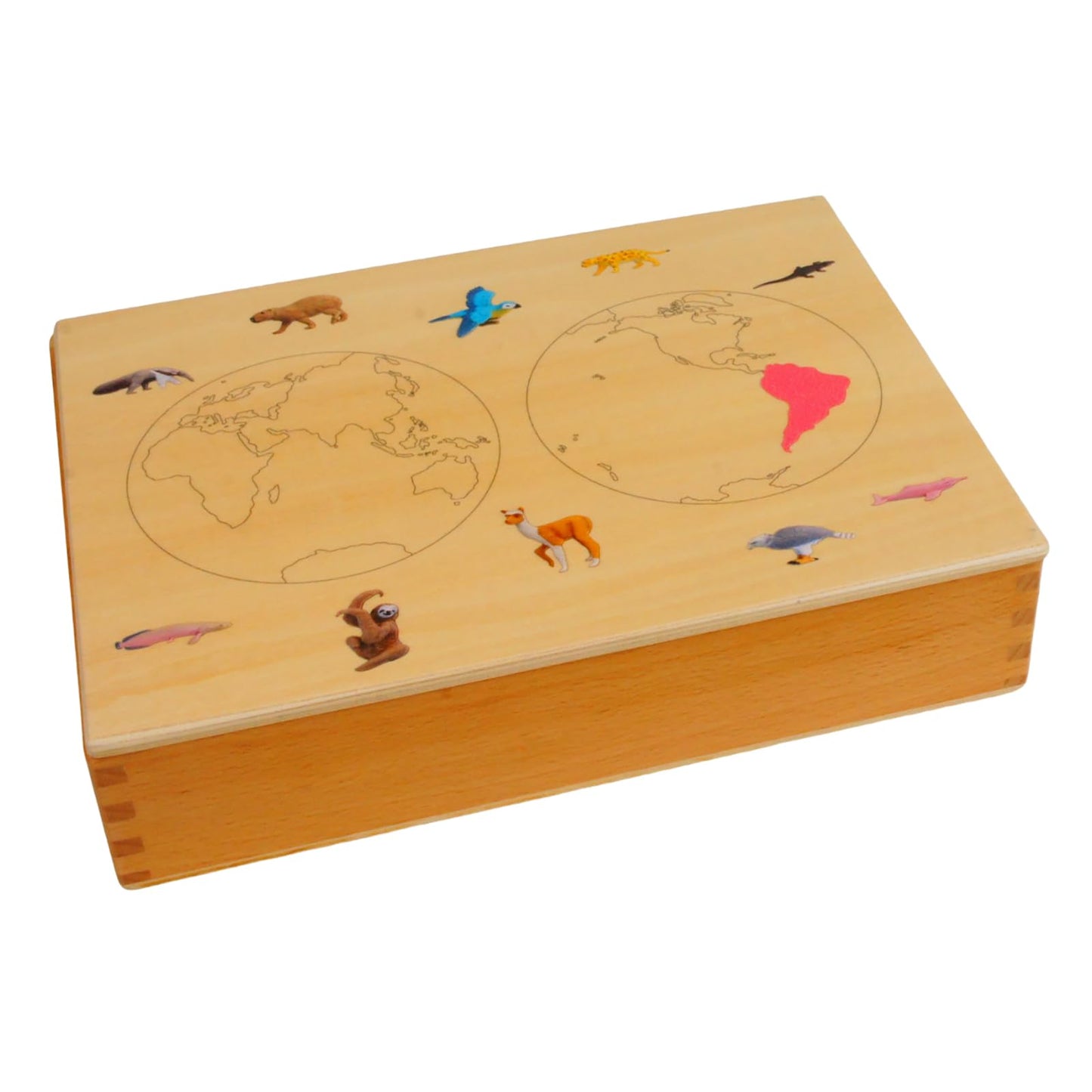 ancona South American Animals, Spanish/English Bilingual, Montessori Preschool Memory Matching Game Box Set with Animal Figurines & 3-Part Cards, Early Education Toy