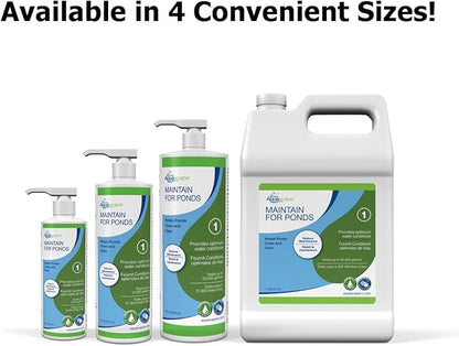 Aquascape MAINTAIN Water Treatment for Koi and Fish Ponds, Easy To Use, Powerful Blend of Beneficial Bacteria, Phosphate Binder, Flocculent, and Detoxifier, 1 gallon / 3.78 L | 96060