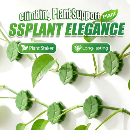 60 Pcs Plant Climbing Wall Fixture Clips with Acrylic Adhesive Stickers, Leaf Fixer Invisible Wall Vines Fixing Clips Self-Adhesive Hook Plant Vine Traction for Indoor Outdoor Decoration (60 Pcs)