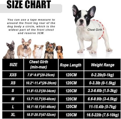 FEimaX Dog Harness and Leash Set for Walking, Soft Mesh Adjustable Easy Control Lightweight Cat Vest Harnesses with Reflective Strips, Escape Proof Small Dogs Cats Vests (Black, Small)