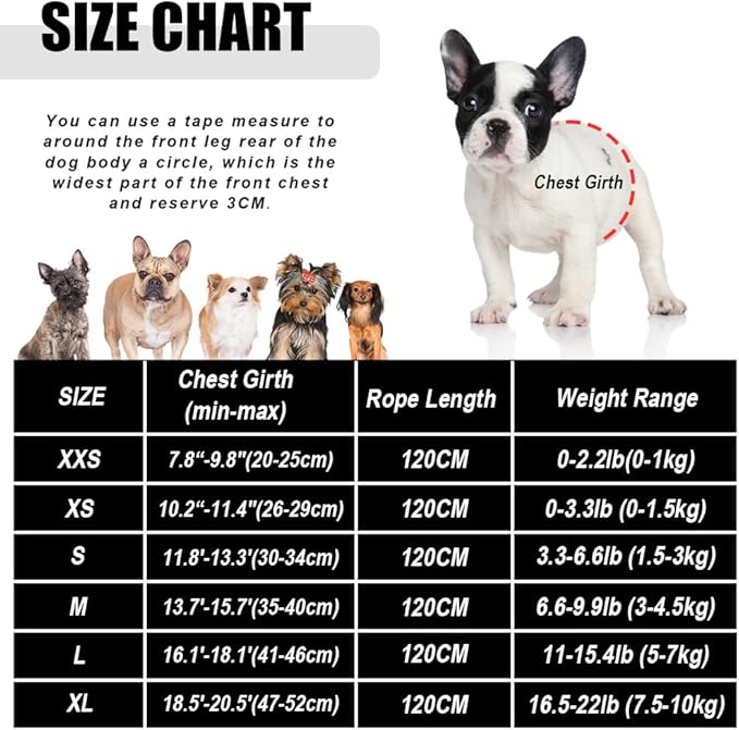 FEimaX Dog Harness and Leash Set for Walking, Soft Mesh Adjustable Easy Control Lightweight Cat Vest Harnesses with Reflective Strips, Escape Proof Small Dogs Cats Vests (Azure, Large)