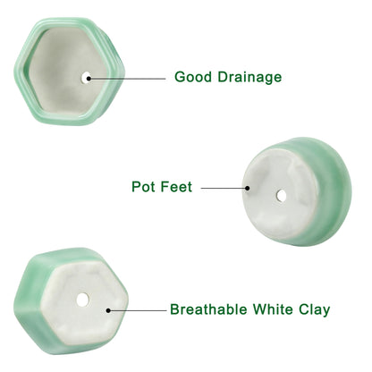 Bonsai Planter 1.8 inch (4.5cm) Mini Succulent Glazed Pots Set of 12 Green